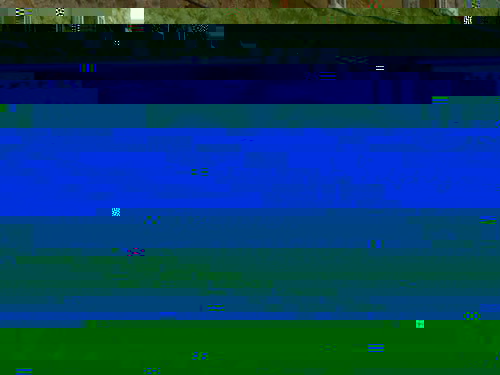 P1020109.jpg
