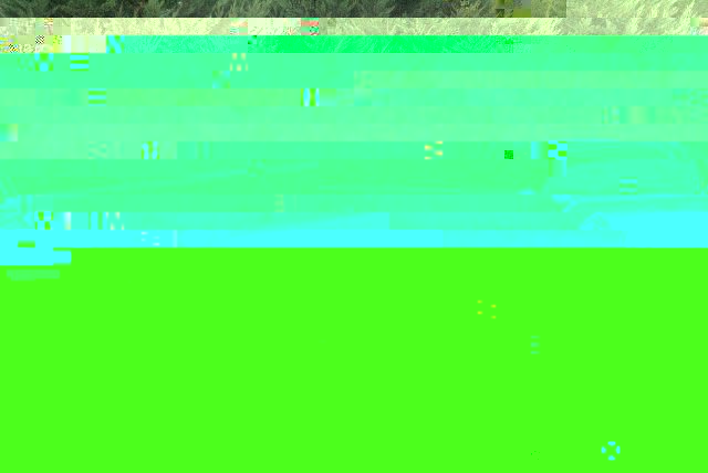 DSC00630.JPG