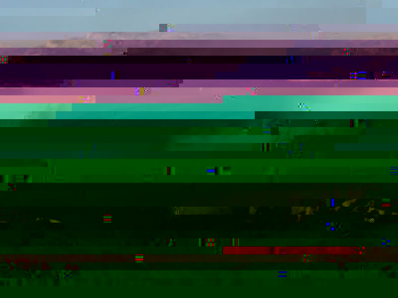 ca2.jpg