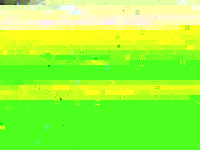 FILE0054-2.JPG