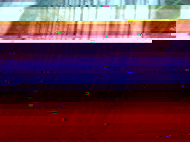 Zolder%202003%20disques.JPG