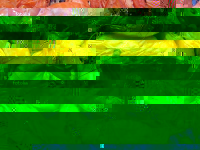 crevettes.jpg