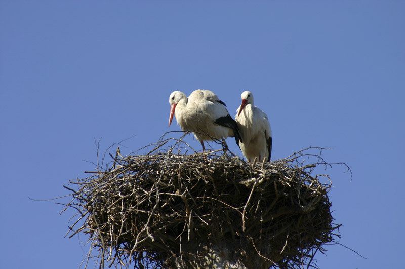 IMG_7740.jpg