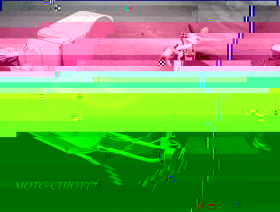 biloute_29_1107712591_moto_chiotte.jpg