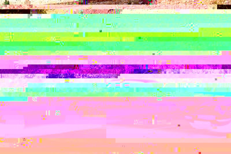 043.jpg