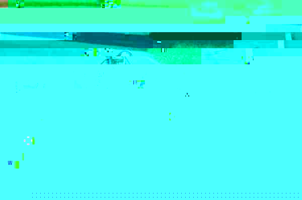 AHF.jpg