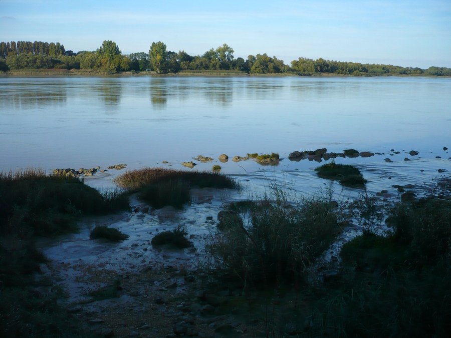 P1200374.jpg