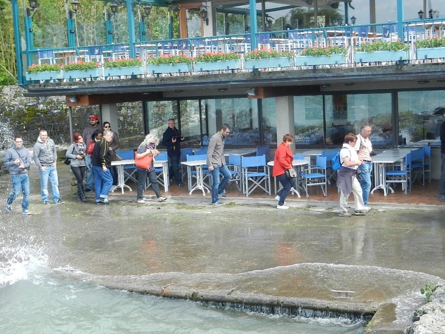 DSCN7305.JPG
