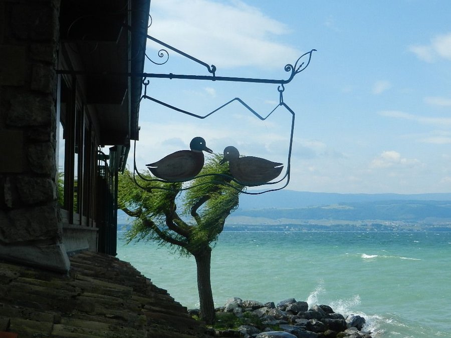 DSCN7298.JPG