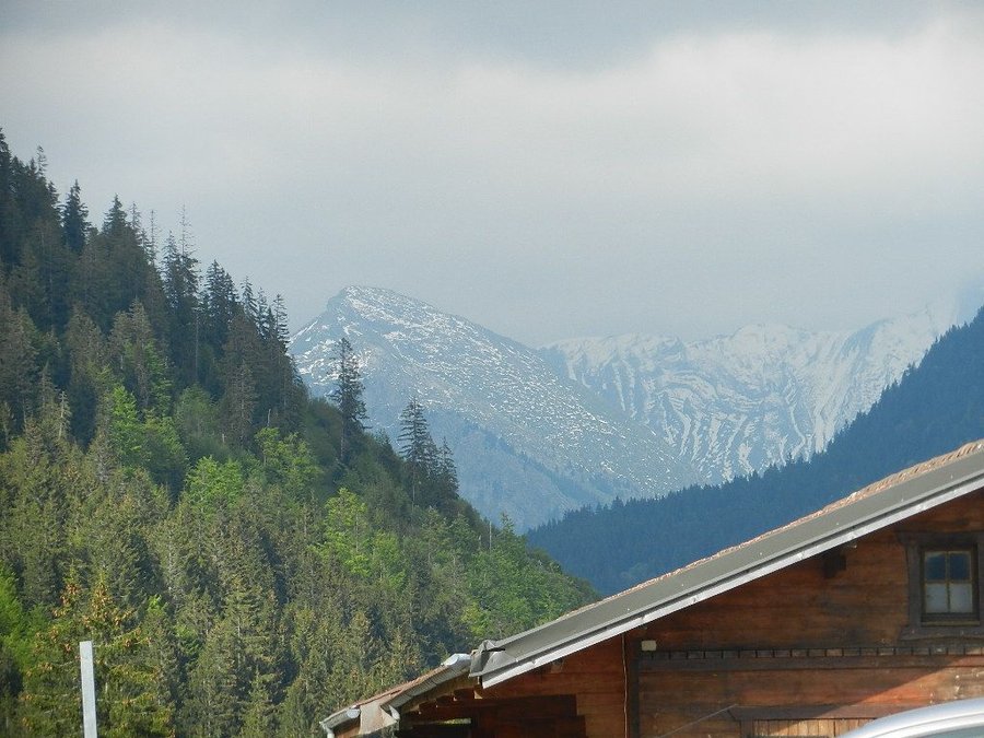 DSCN7334.JPG