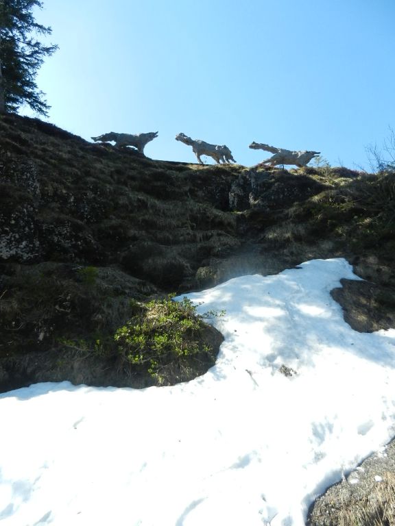 DSCN7389.JPG