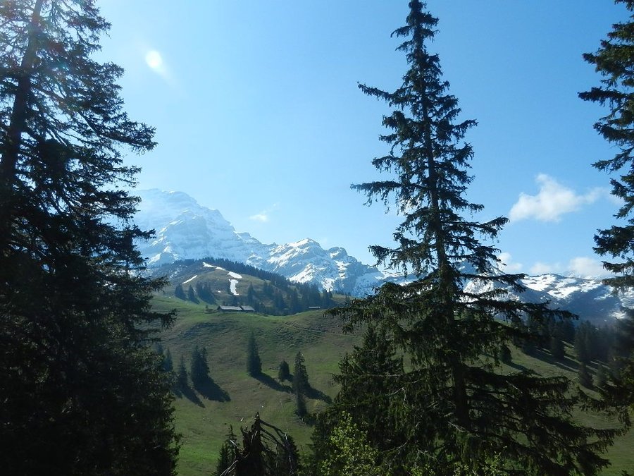 DSCN7380.JPG