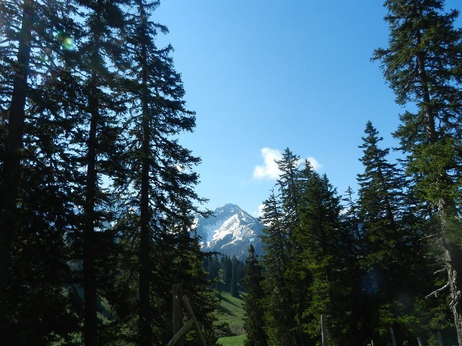 DSCN7376.JPG