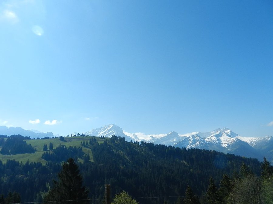 DSCN7372.JPG