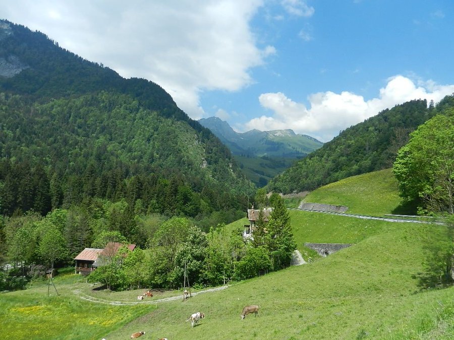 DSCN7424.JPG