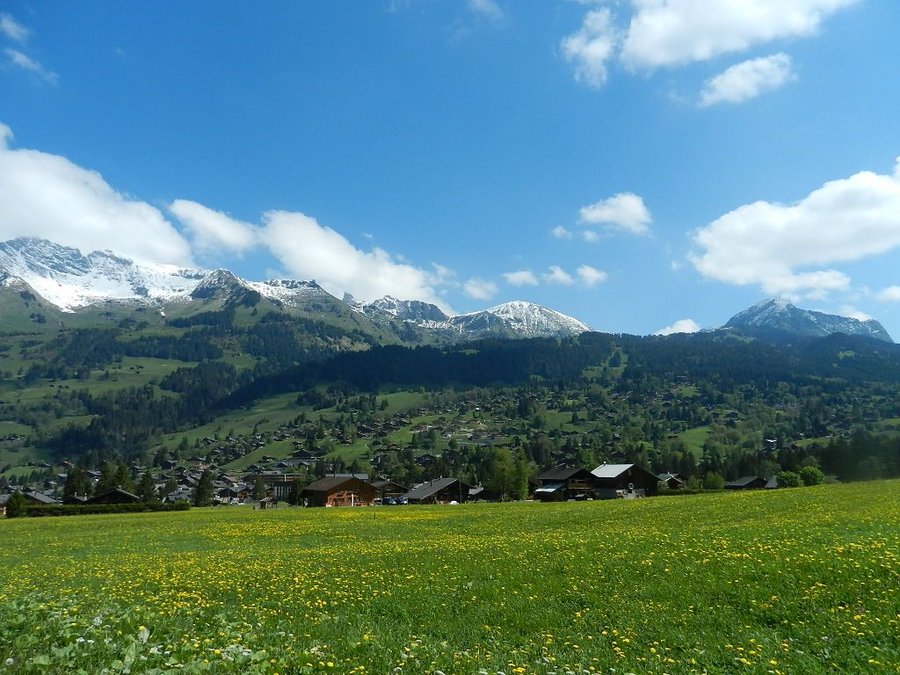 DSCN7421.JPG