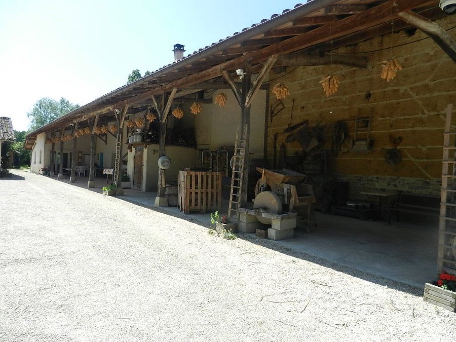 DSCN7557.JPG