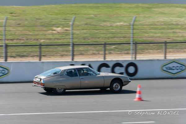 AHF 2015-4861.jpg