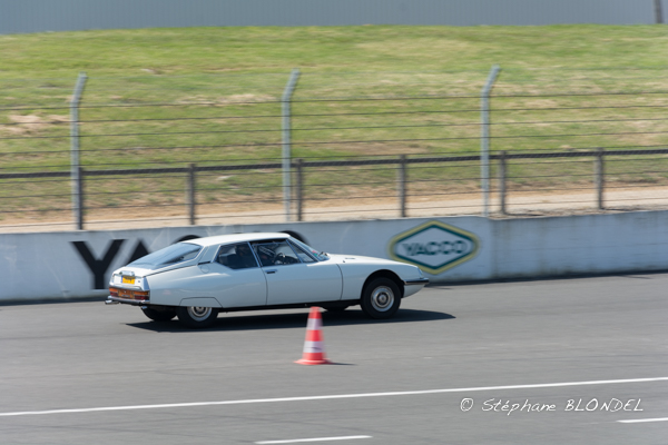 AHF 2015-4862.jpg