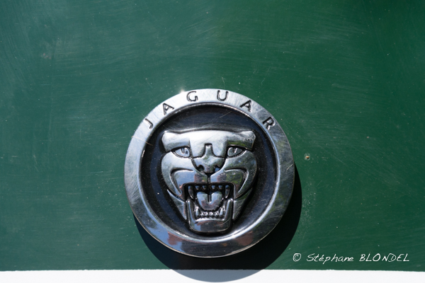 AHF 2015-4987.jpg