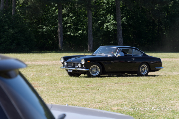 AHF 2015-5065.jpg