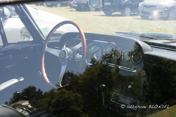 AHF 2015-5075.jpg