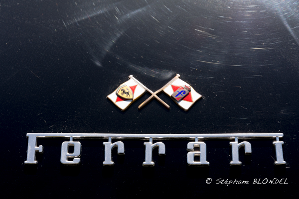 AHF 2015-5076.jpg