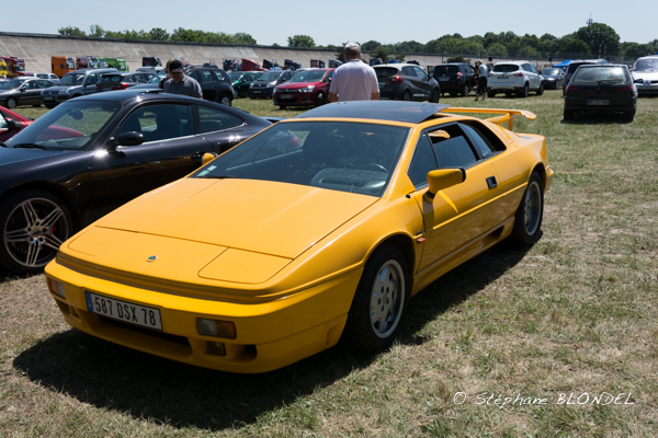 AHF 2015-5078.jpg