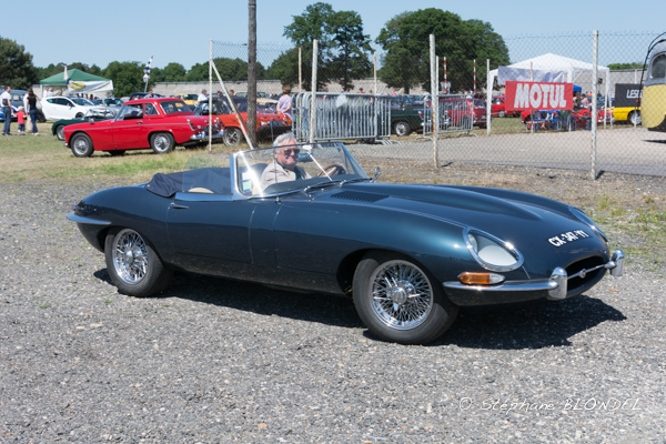AHF 2015-5251.jpg