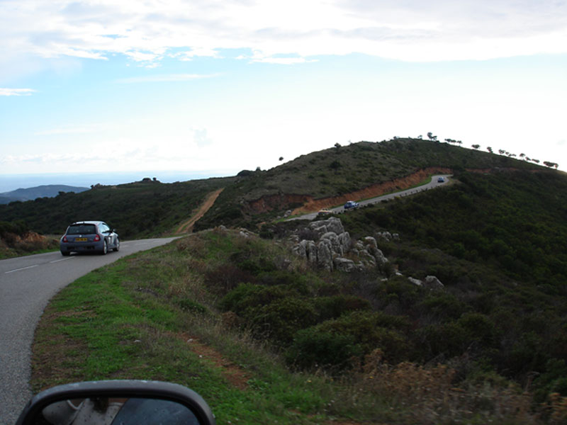 DSC2005corse.jpg