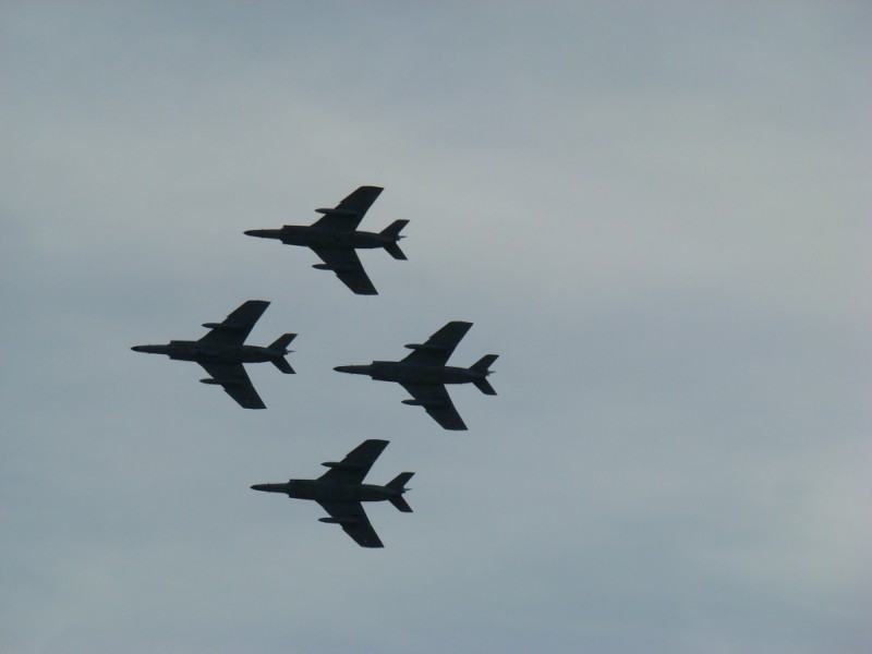 DSC02421.jpg