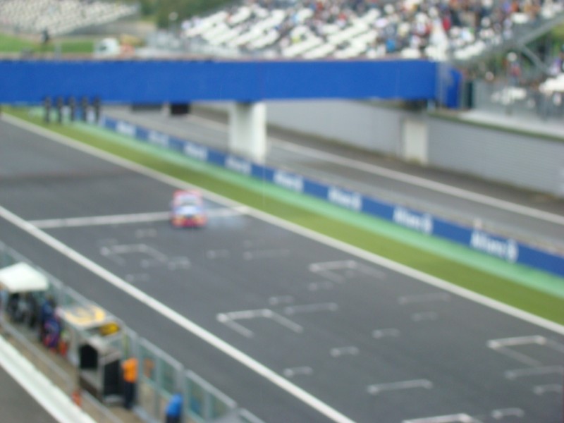 DSC02550.jpg