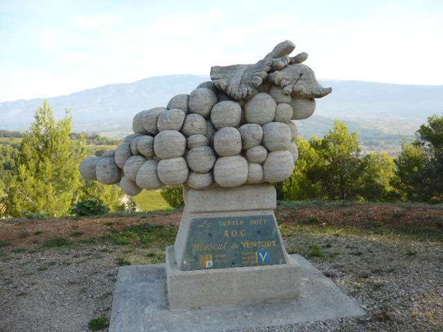 P1000862.JPG