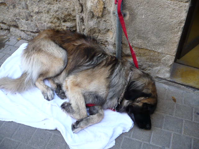 P1000955.JPG